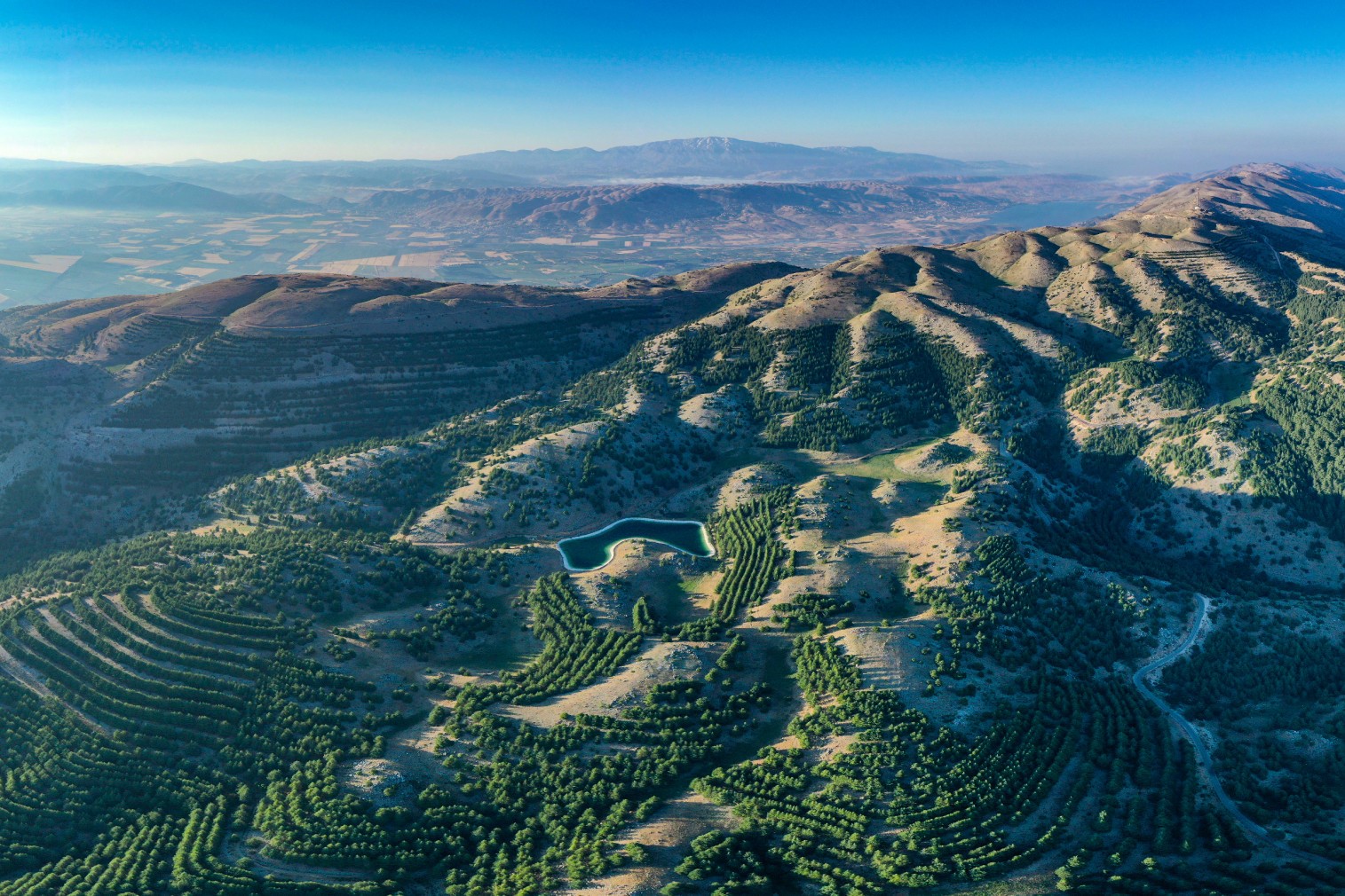 Barouk Mountain in Summer