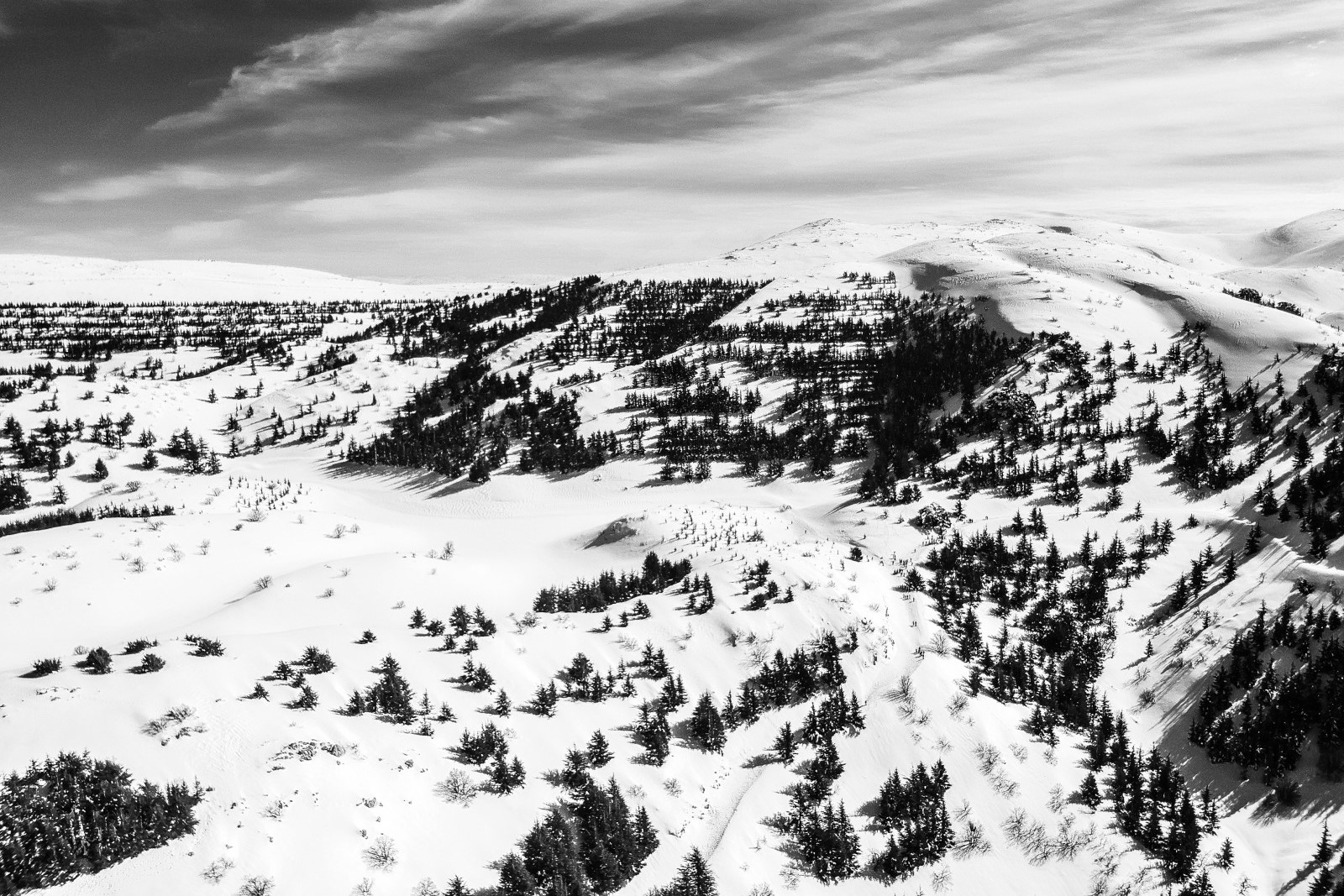 Barouk Mountain in Winter