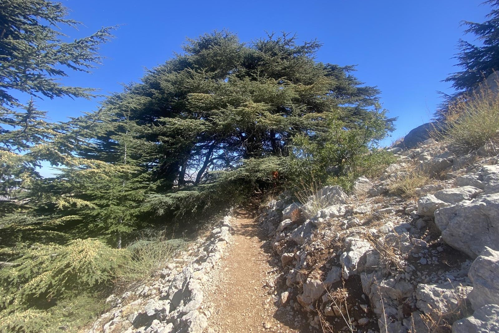 Barouk Reserve Hiking Trail
