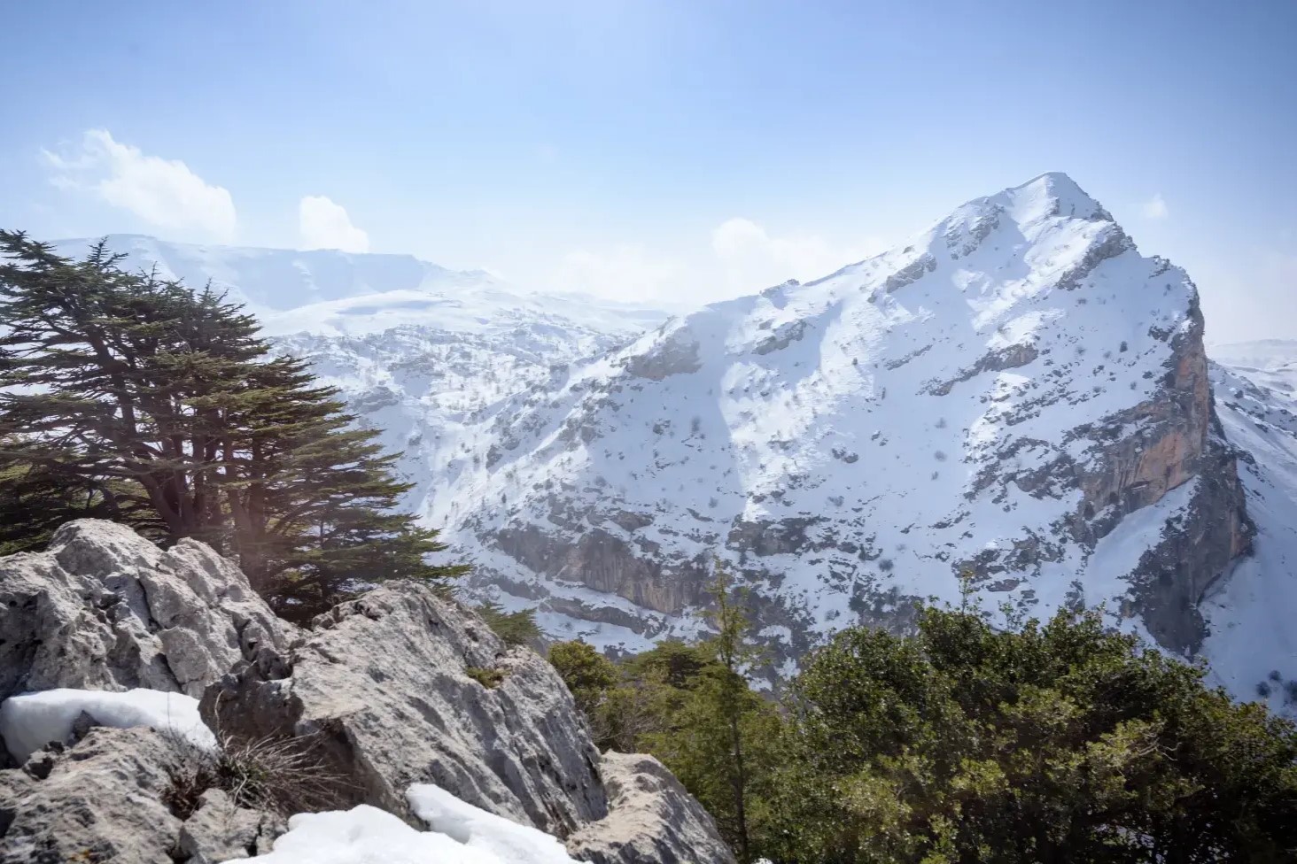 Tannourine Cedars Forest